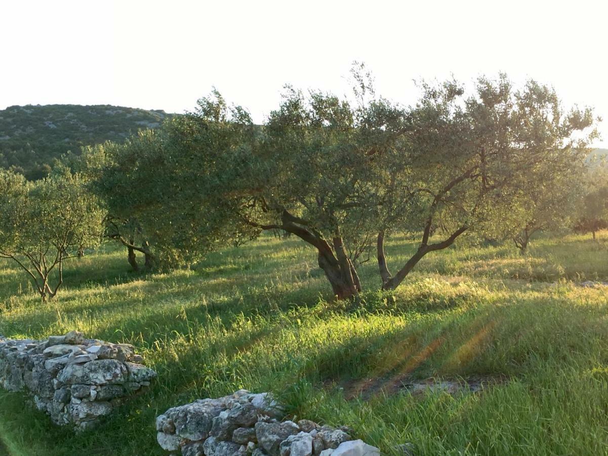Lavanda Tribalj Екстериор снимка